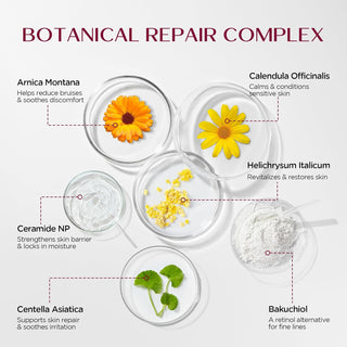 Vigority Helichrysum Balm Soothes & Repairs: Restorative Cream with Arnica & Calendula for Thin, Fragile, Bruised & Aging Skin – Moisturizes & Revitalizes Face & Body – Whipped Texture – 3.4 oz